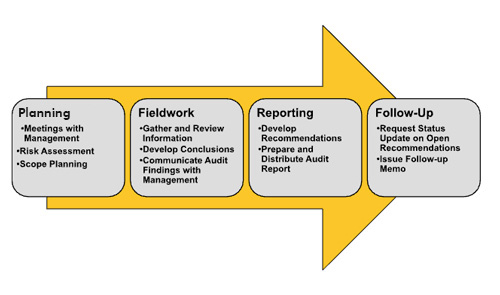 Audit Function and Process